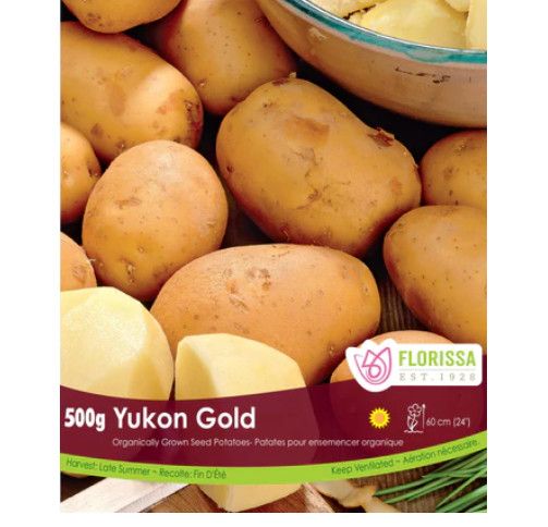Seed Potatoes, Variety: Yukon Gold (2kg bag)