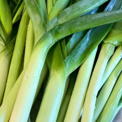 Leeks 4"