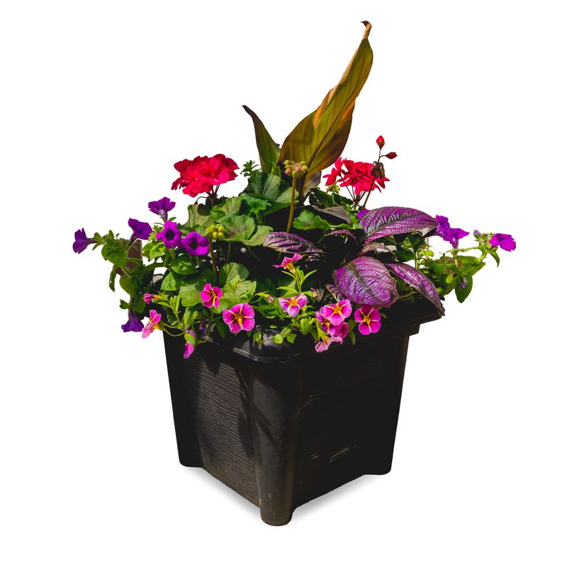 Square Planter 14&quot; Mix Assorted