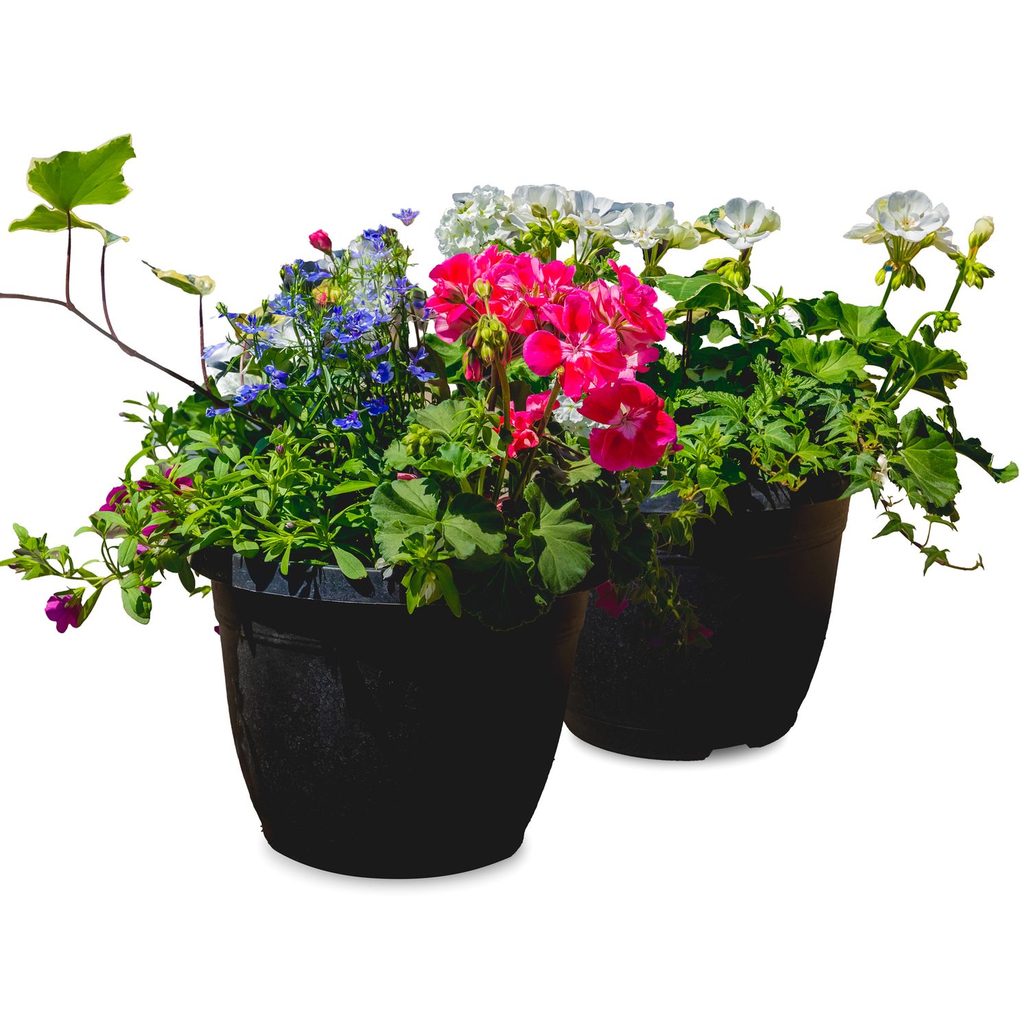 10&quot; Round Premium Patio Pot Assorted