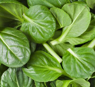 Spinach 2 cell pack