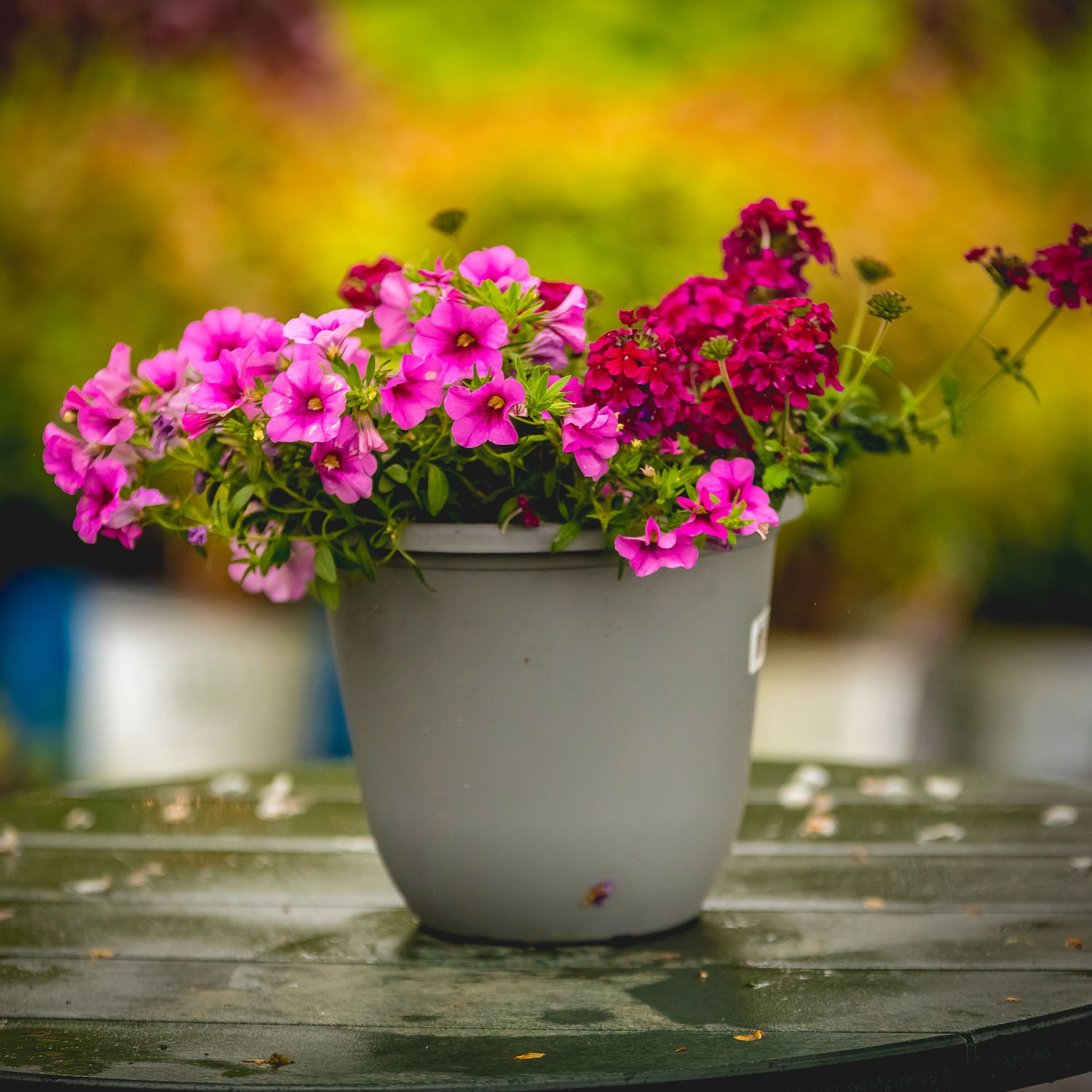 10&quot; Patio Planter
