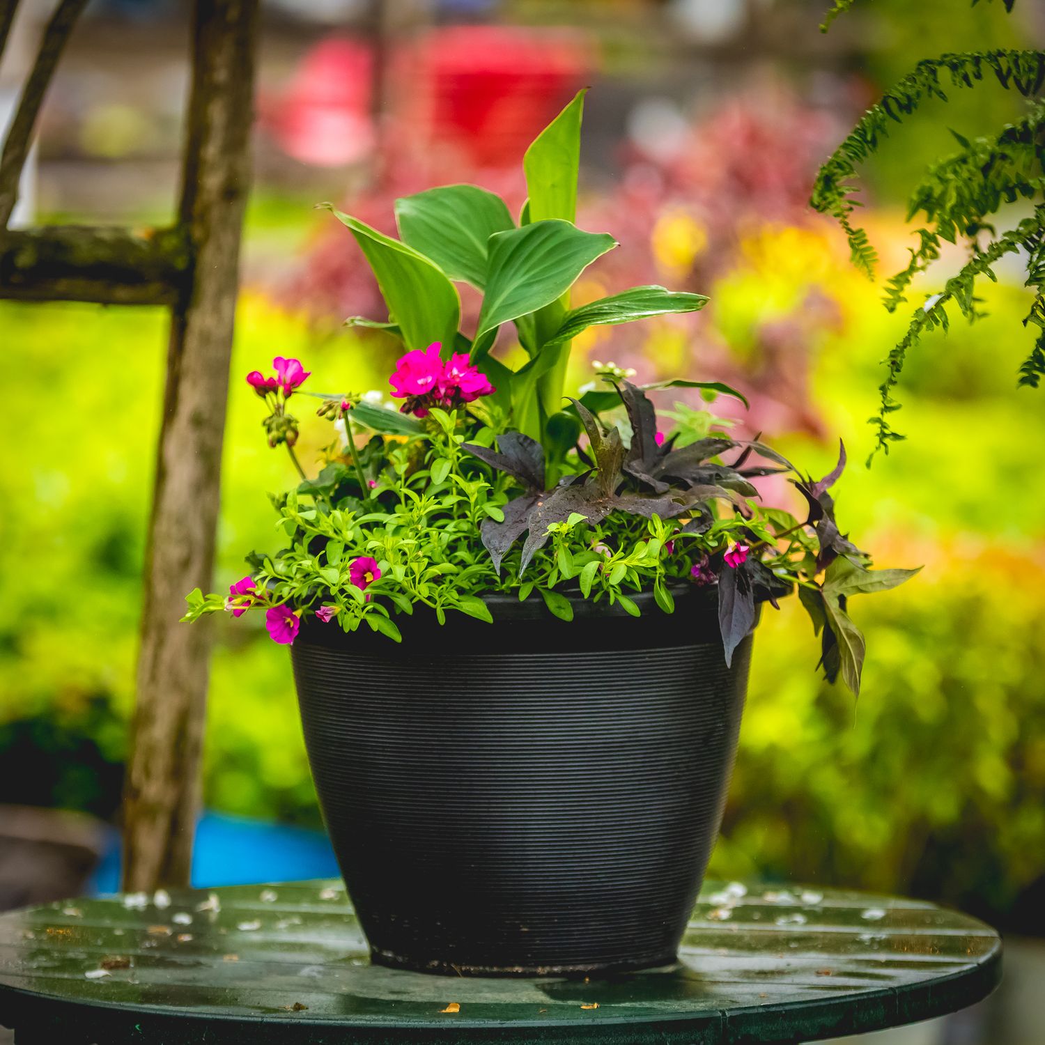 16&quot; Patio Planter Assorted