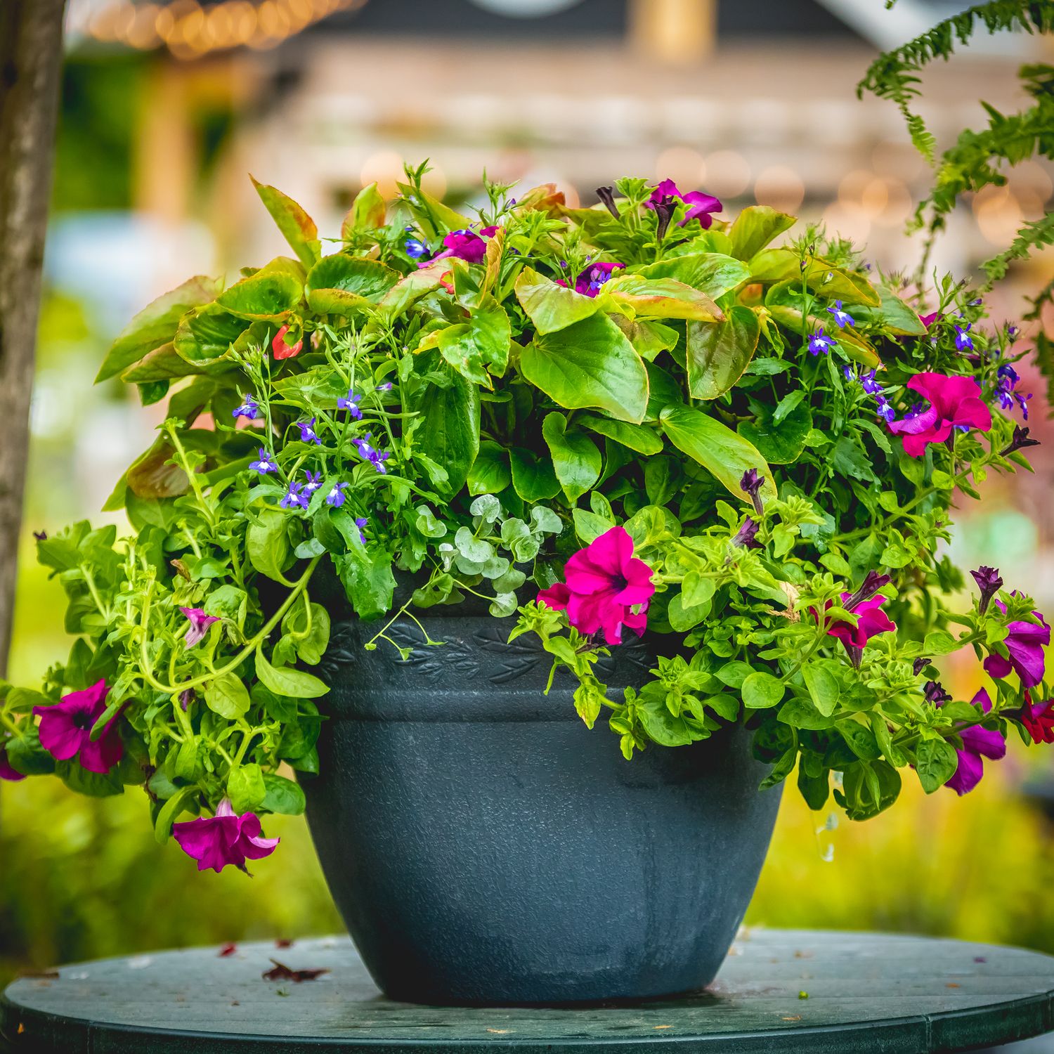 20&quot; Round Assorted Planter with Centre