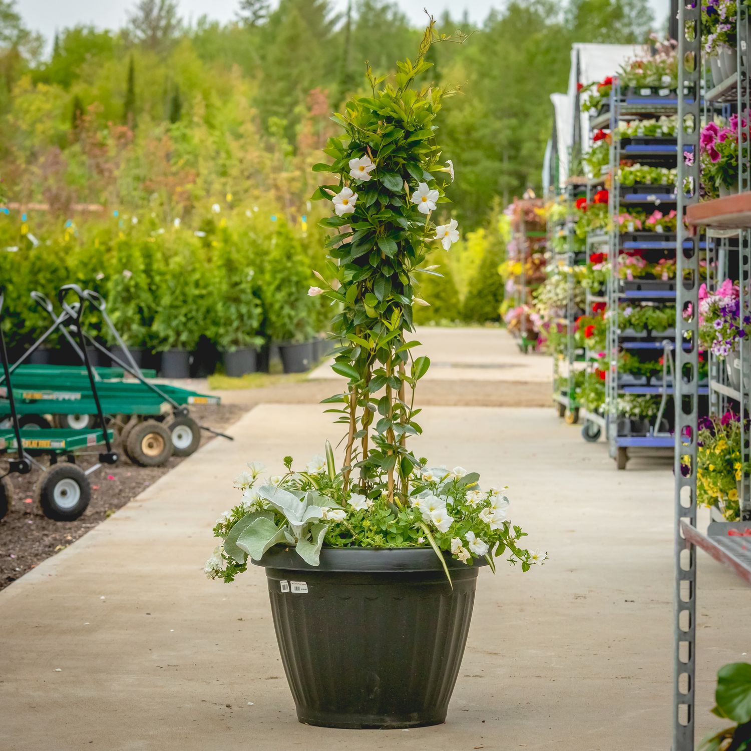 24&quot; XL Onda Planter Assorted