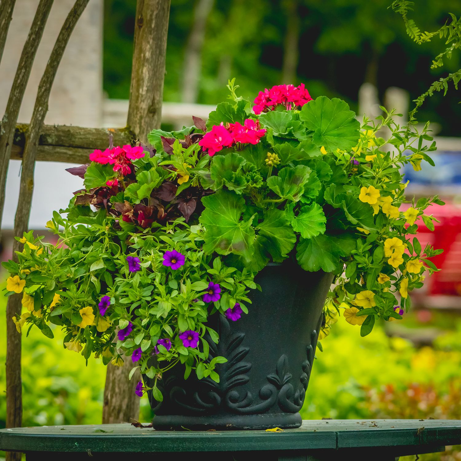 16&quot; Round Speckle Planter with Vine Geranium
