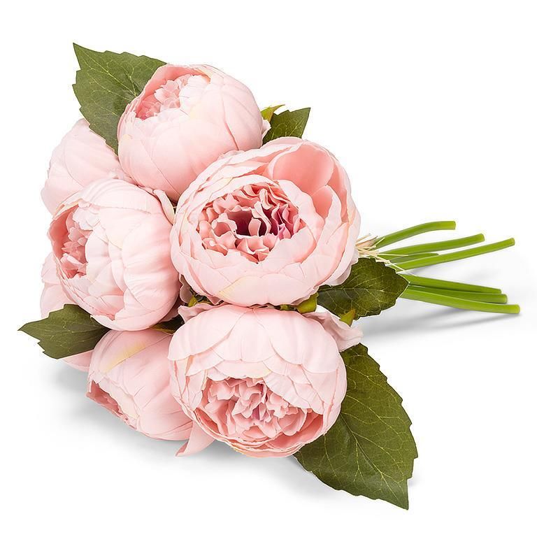 Peony bunch - 5 stems