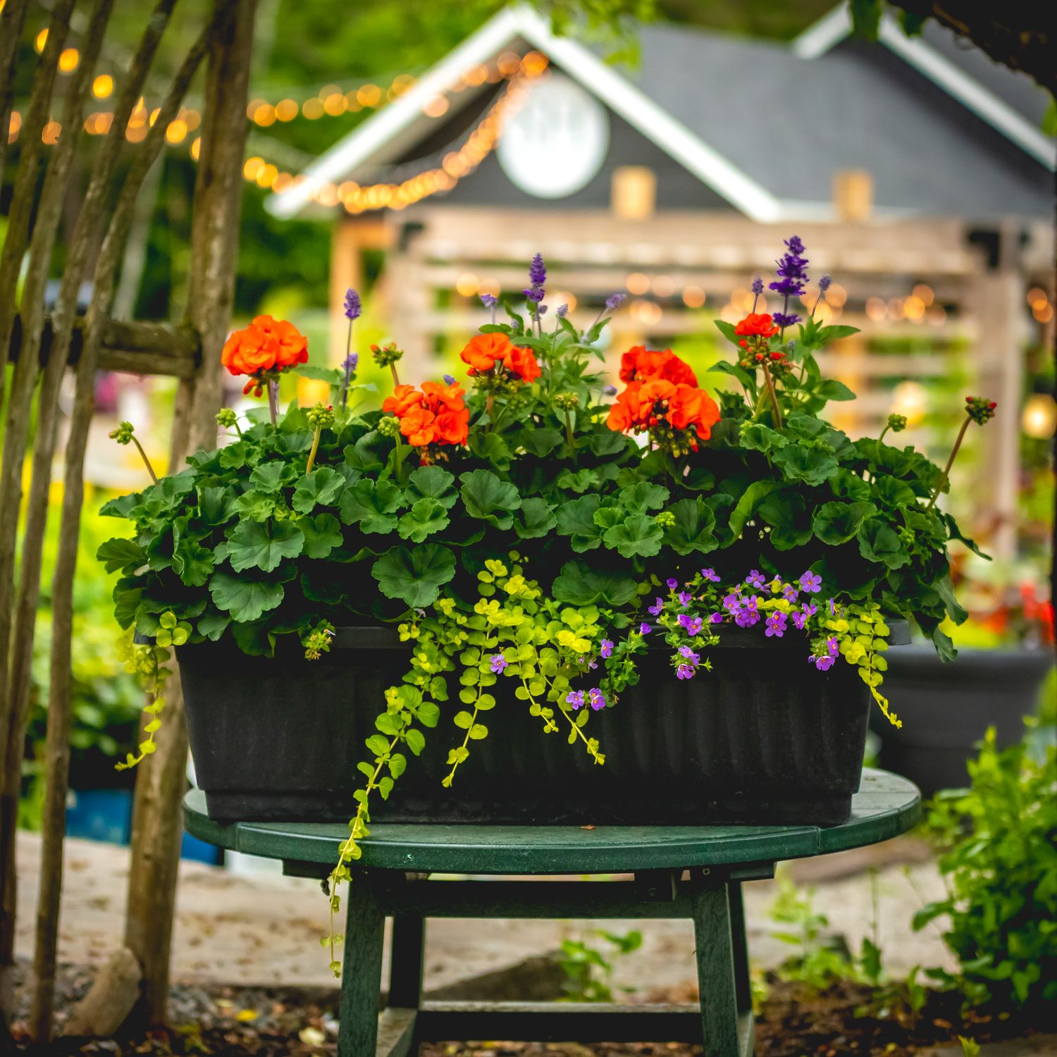 Window Box &#39;mixed&#39; - 31&quot;