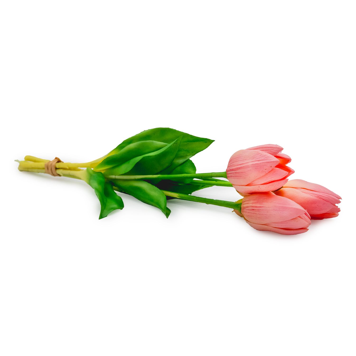 Tulip - Light Pink