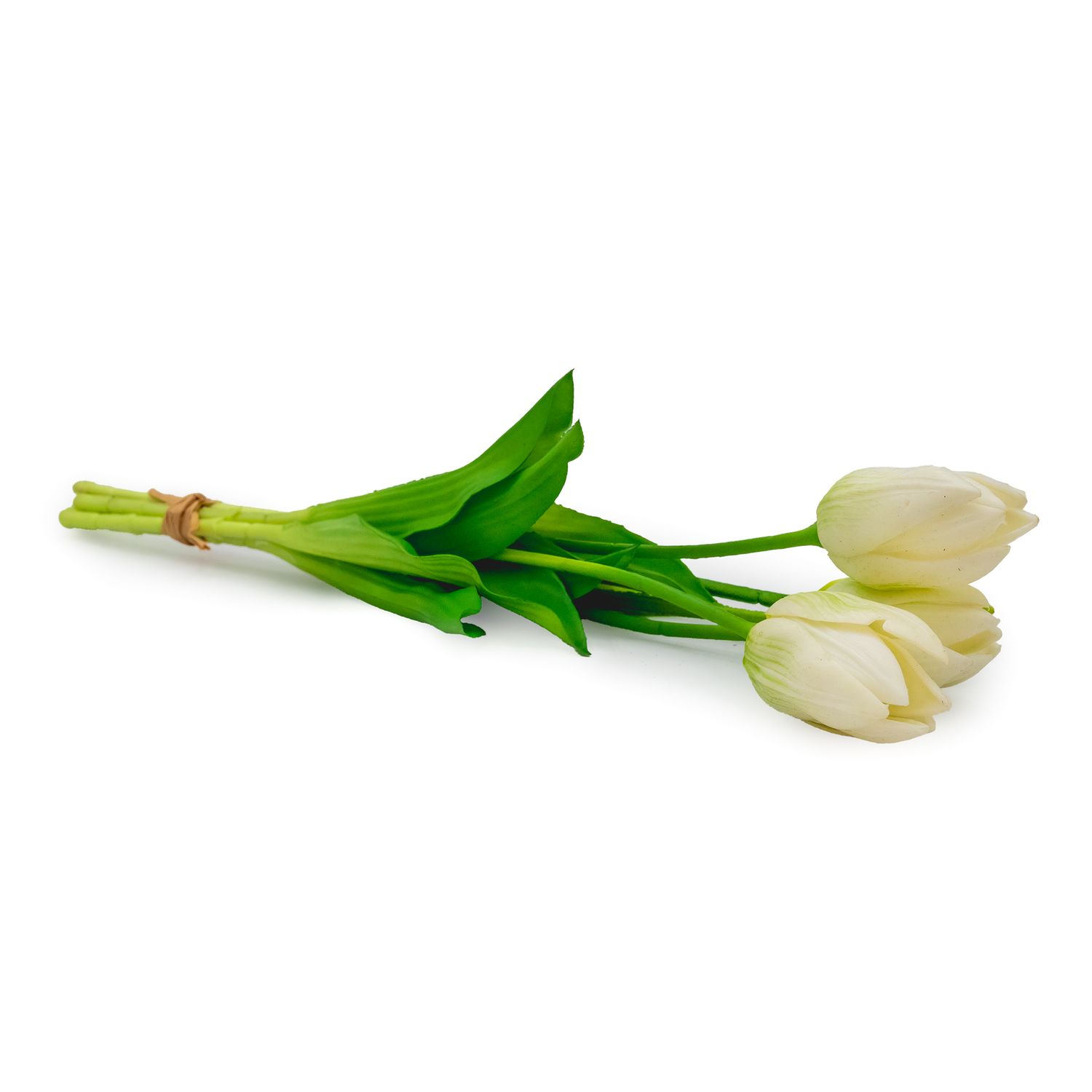 Tulip - White