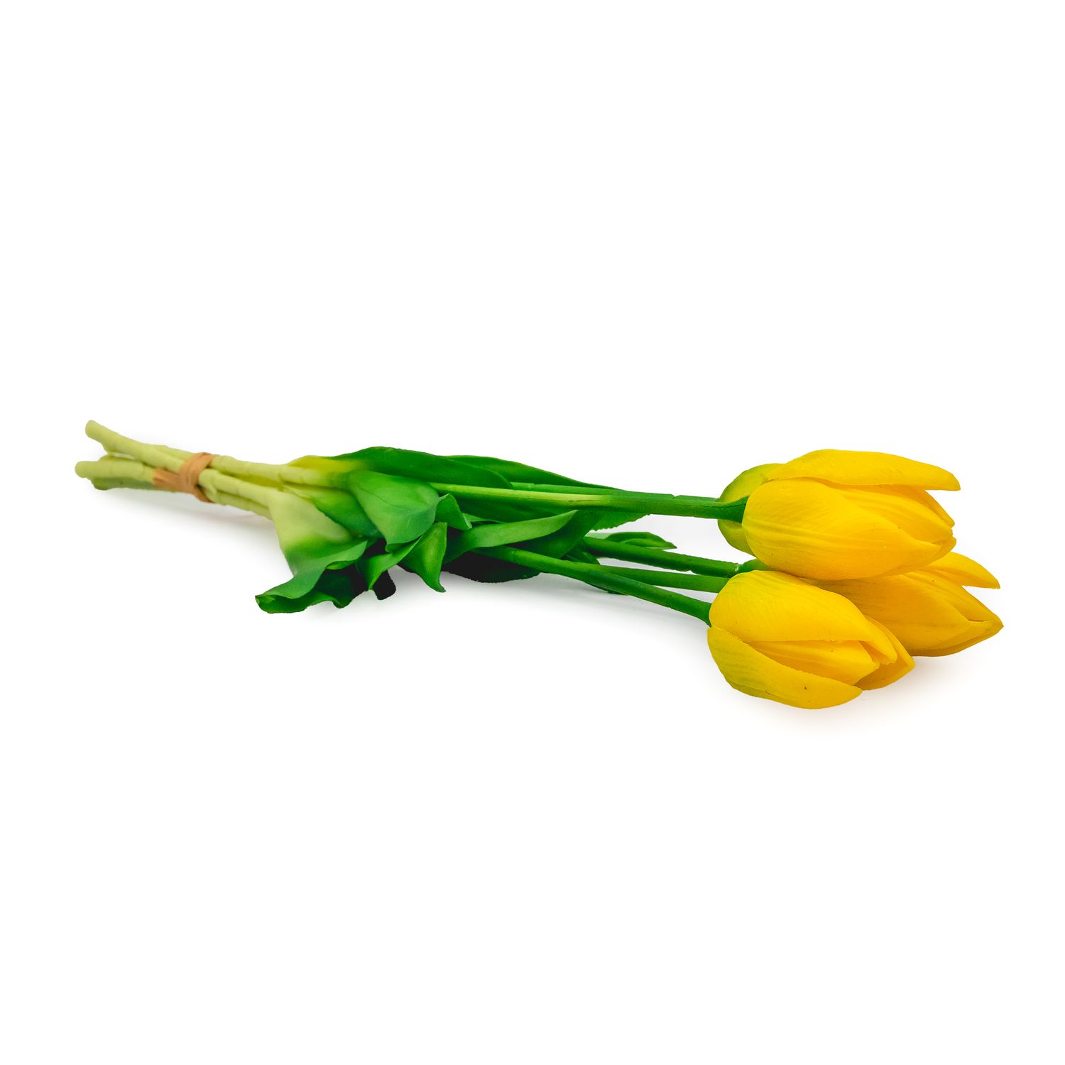 Tulip - Yellow