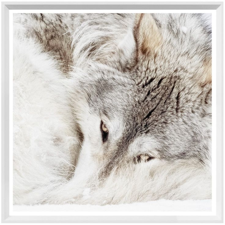 Art - Grey Wolf (Mini)