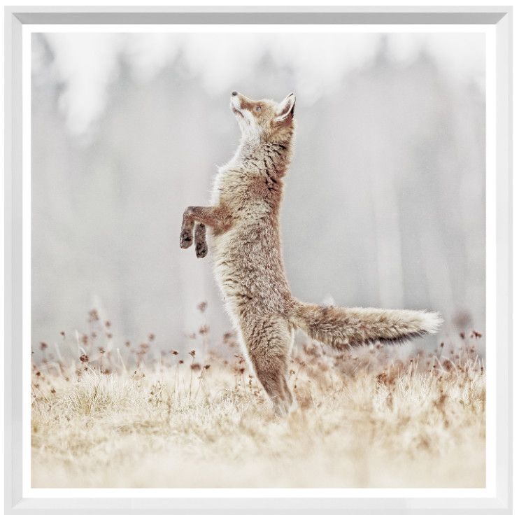 Art - Fox On Alert (Mini)