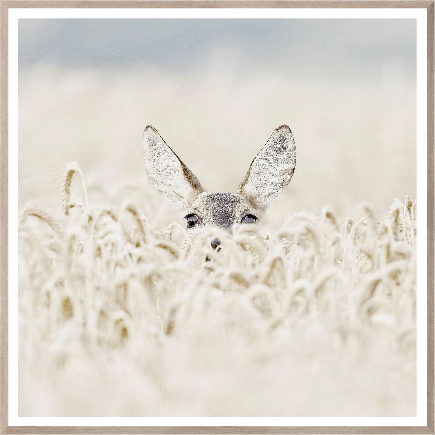 Art - Peekaboo Deer, Size: Large