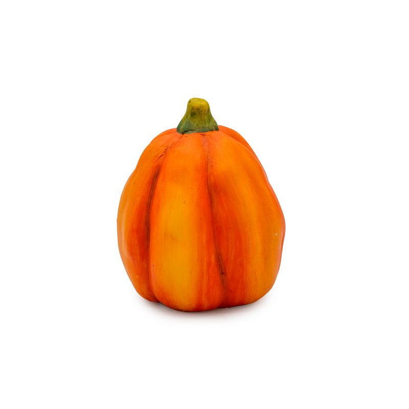 Field Pumpkin - Small