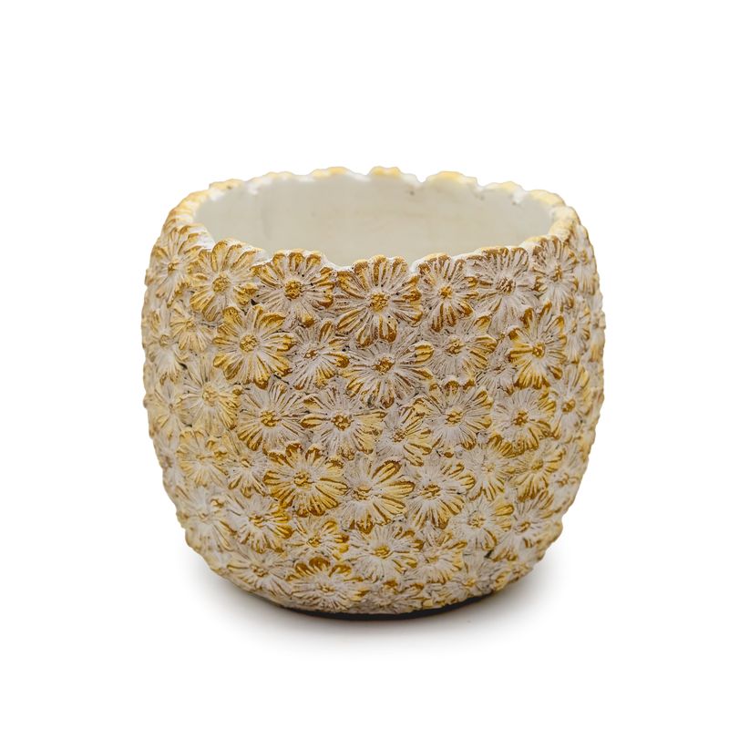 Daisy Pot - Medium