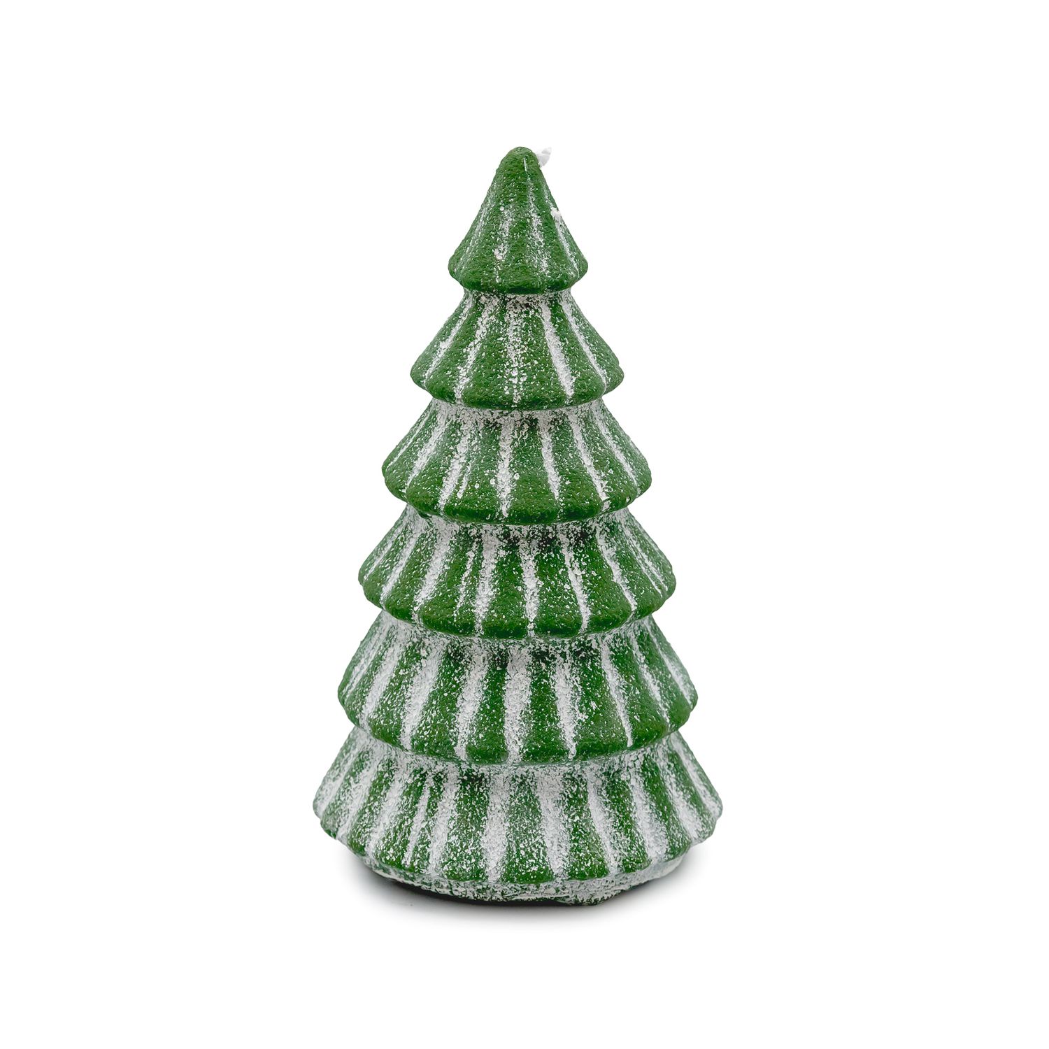 Snowbell Tree - Medium