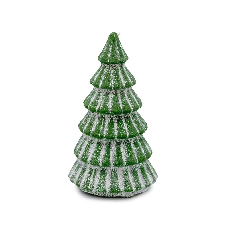 Snowbell Tree - Medium