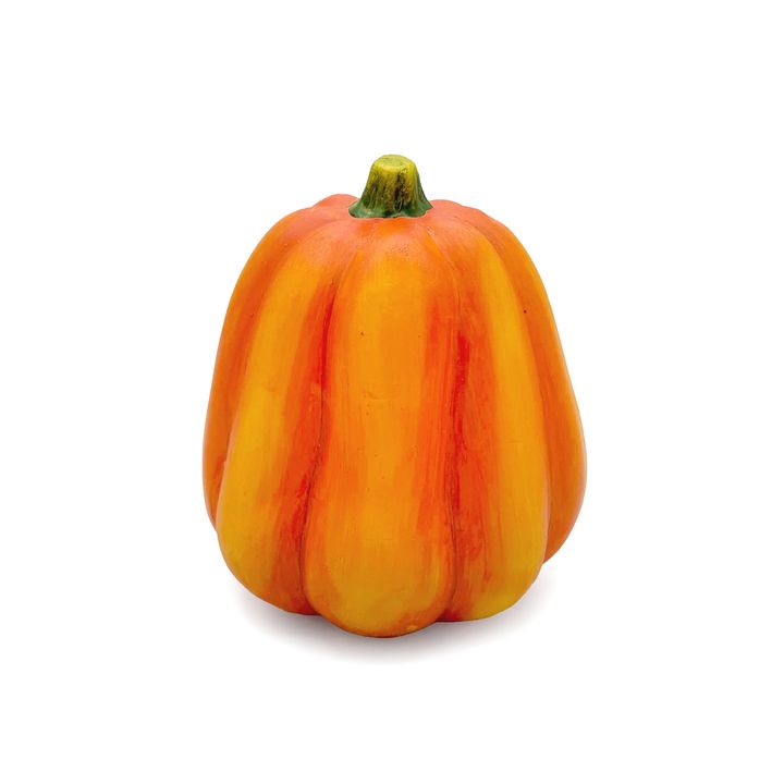 Field Pumpkin - Large