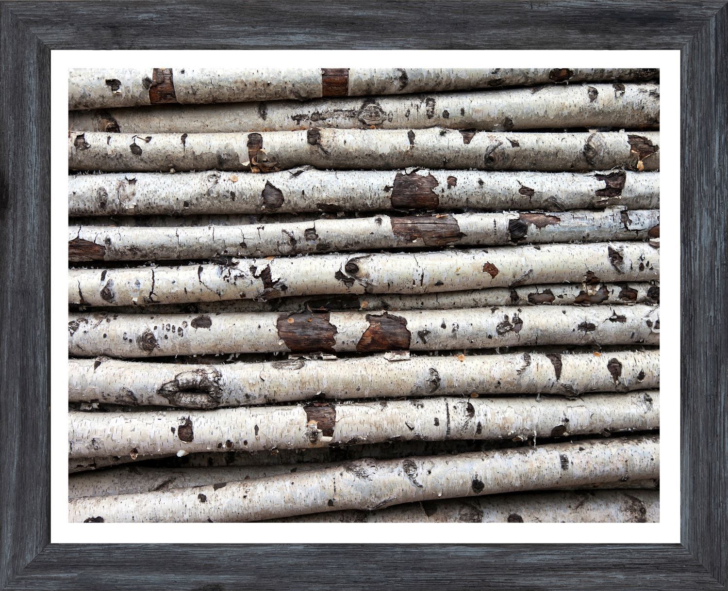 Art - Birch Abstract II, Color: Mini Grey 11&quot; x 14&quot;