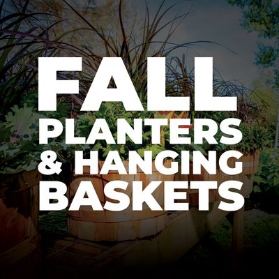 Fall Planters &amp; Hanging Baskets
