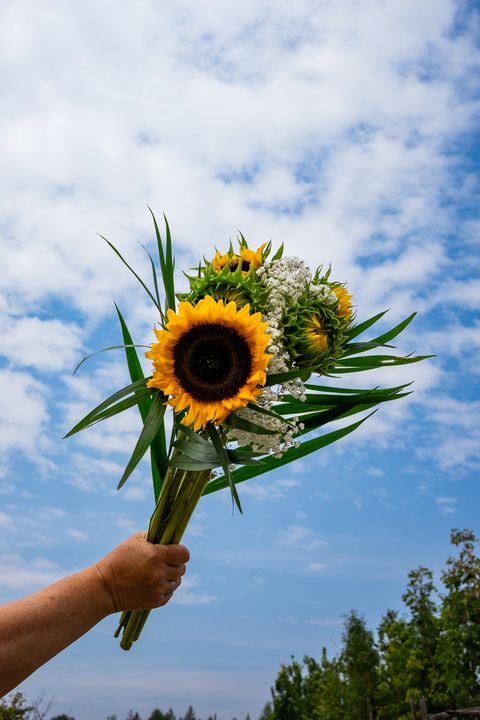 Sunflower bouquet