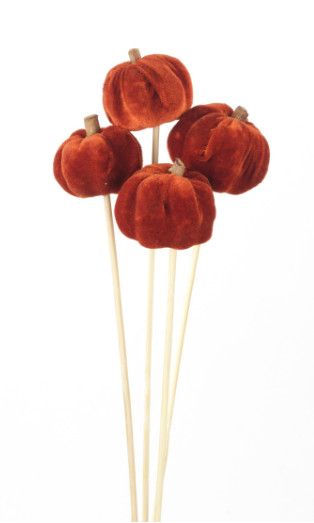 Velvet Pumpkins Rust - 4/stem
