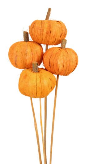 Pumpkins Orange - 4/stem