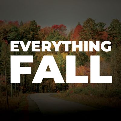 Everything Fall