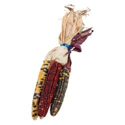 Mini Ornamental Corn (3 pieces)