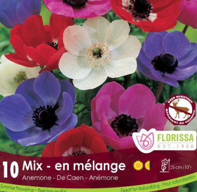Anemone De Caen (bulb pkg) Mix (10/pkg)