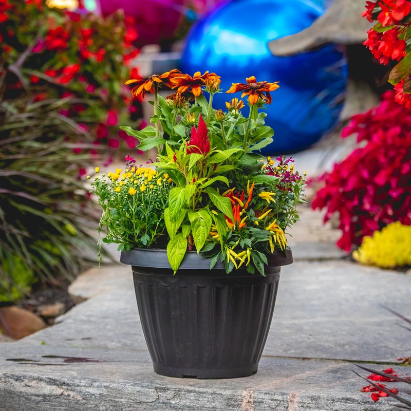 Fall Planter Mixed 18&quot; Mega
