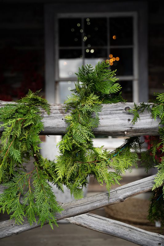 Fresh Cedar Garland 20&#39;