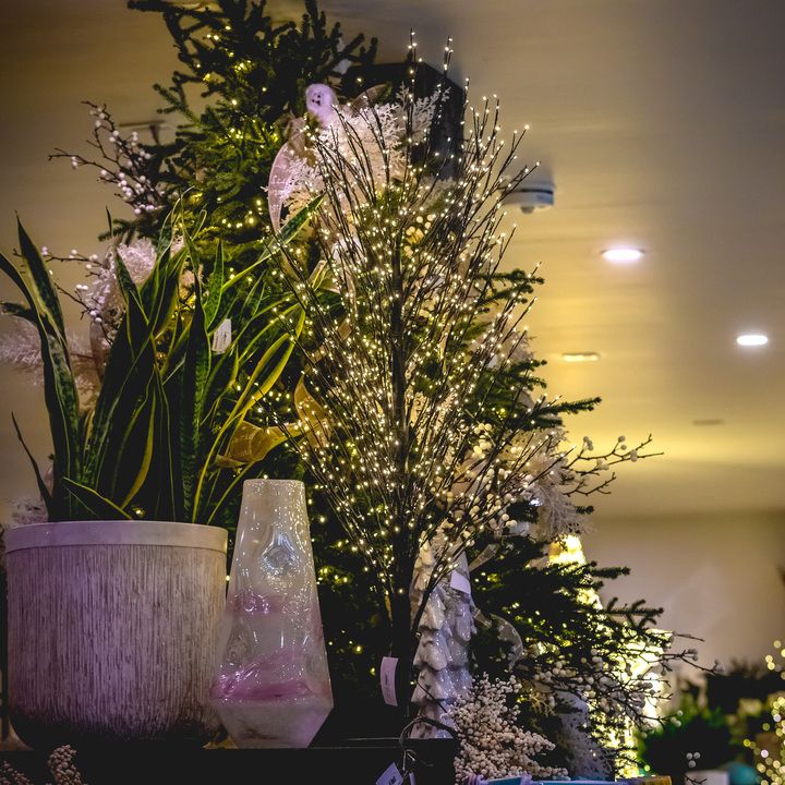 Twinkle Light Tree - 1000 lights