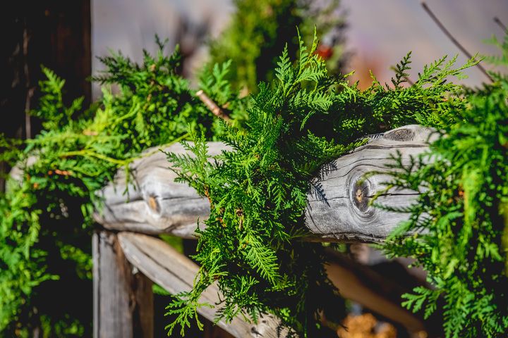 Fresh Cedar Deluxe Garland 20&#39;