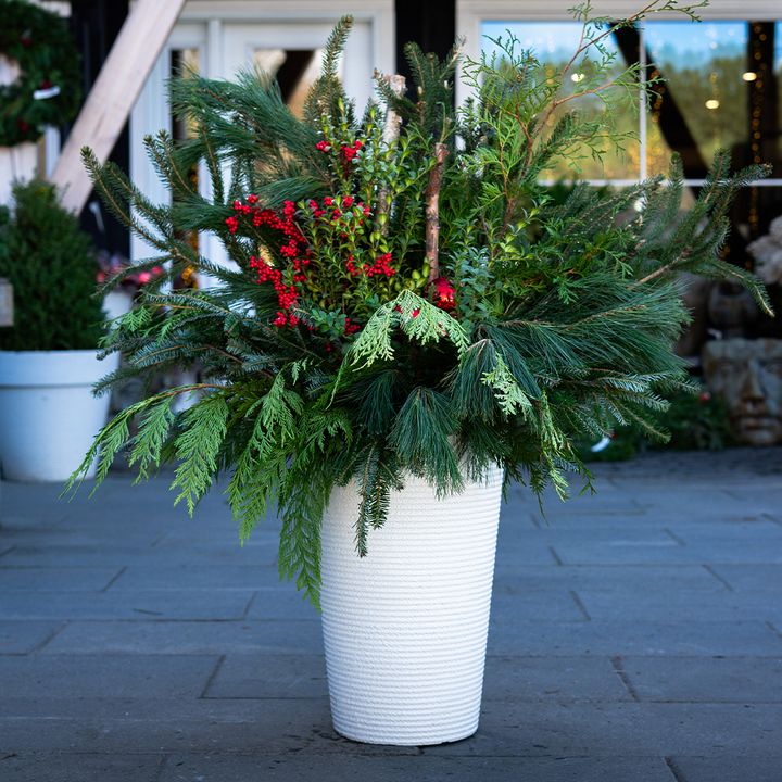 Festive Urn $99.99