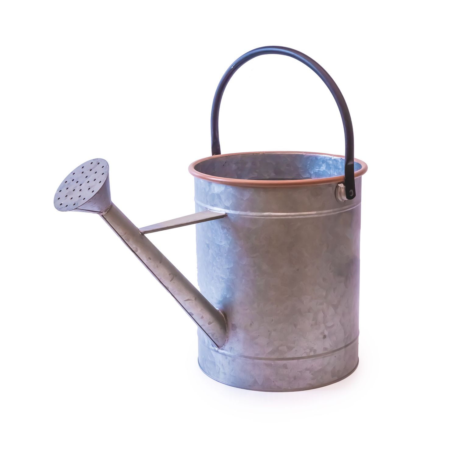 Watering Can, Size: Medium