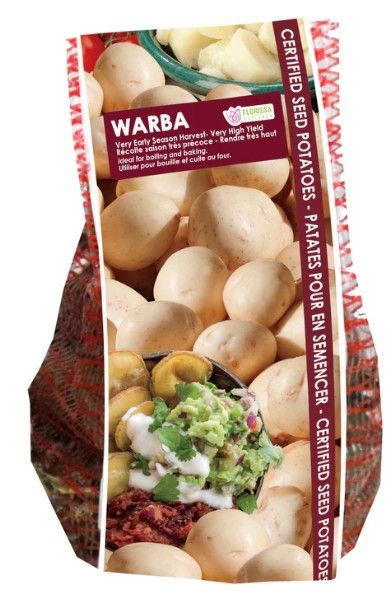 Seed Potatoes Warba (2kg bag)
