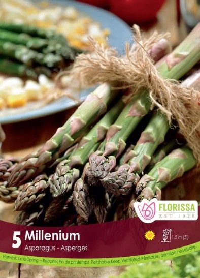 Asparagus (root pkg) - Millennium (5/pkg)