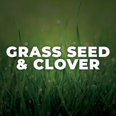 Grass Seed + Clover