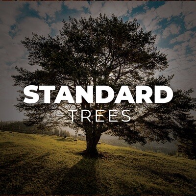 Standard Trees