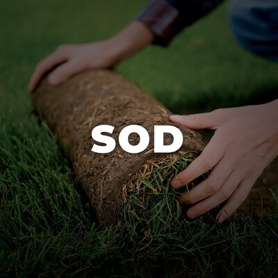 Sod