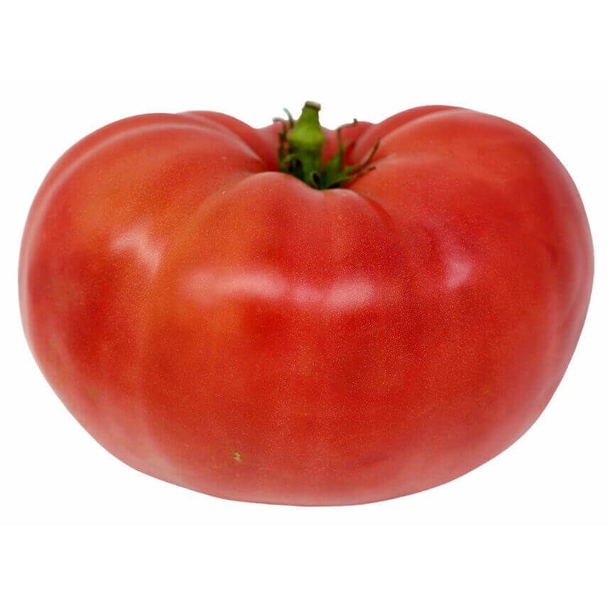 Tomato (seed pkg), Variety: Beefsteak