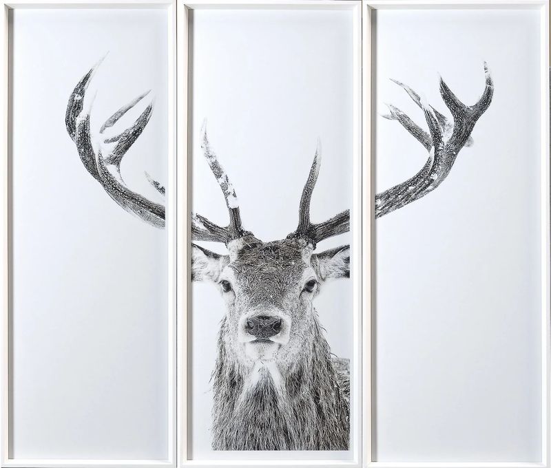 Art - Stag Triptych