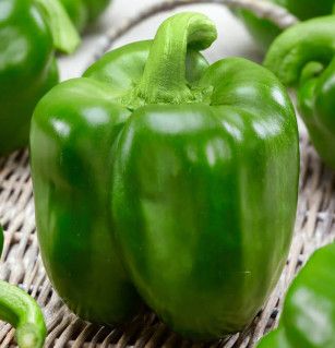 Peppers (seed pkg), Variety: Early Calwonder (small pkg)