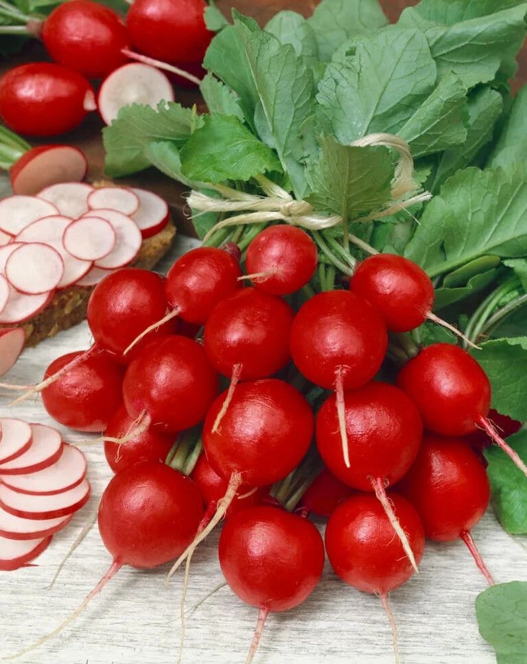 Radish ORGANIC (seed pkg), Variety: Cherry Belle