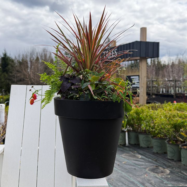 15" Mixed Tropical Planter - 