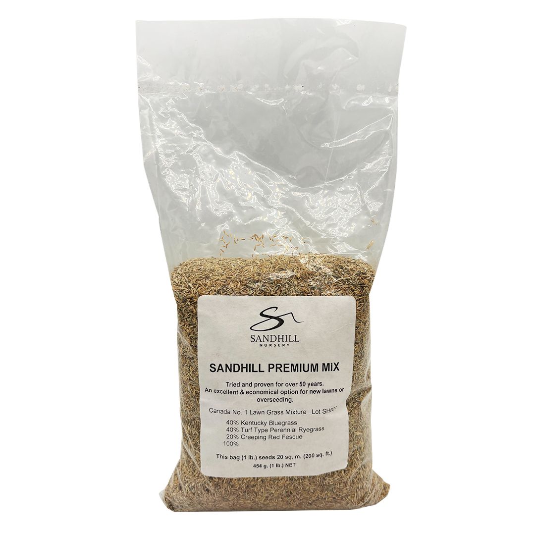 Grass Seed: Premium CAMPUS Lawn Mix, Size: 1 lb