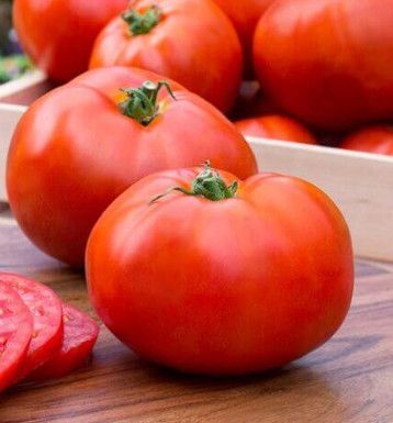 Tomato - 4" , Variety: Better Boy