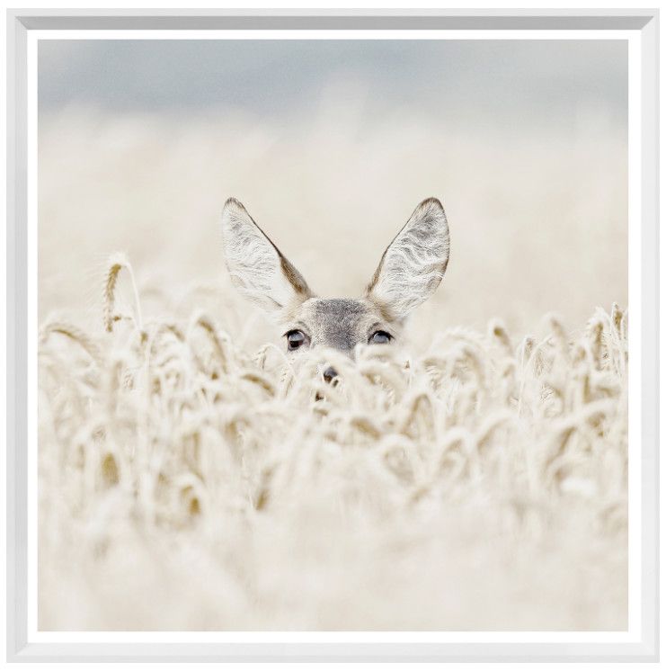 Art - Peekaboo Deer, Size: Mini 21" x 21"